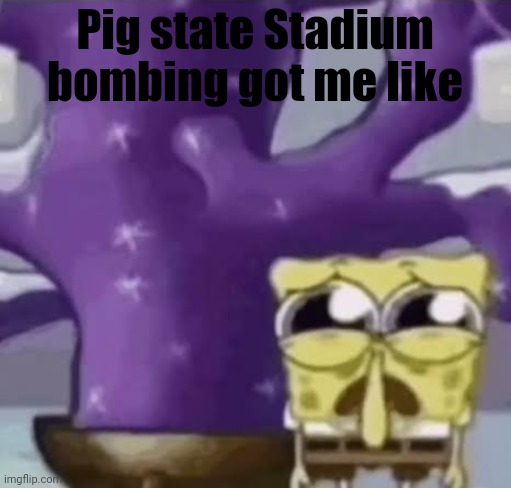 Zad Spunchbop | Pig state Stadium bombing got me like | image tagged in zad spunchbop | made w/ Imgflip meme maker