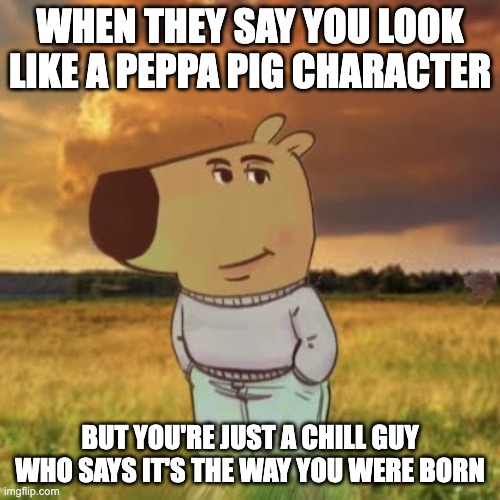 im outta ideas | WHEN THEY SAY YOU LOOK LIKE A PEPPA PIG CHARACTER; BUT YOU'RE JUST A CHILL GUY WHO SAYS IT'S THE WAY YOU WERE BORN | image tagged in chill guy,memes,funny,peppa pig,ok,oh wow are you actually reading these tags | made w/ Imgflip meme maker