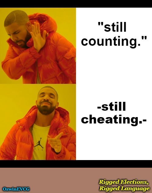 RL, RE; SG, SC | image tagged in drake hotline bling,government corruption,rigged elections,msm lies,inverted english,democratic party | made w/ Imgflip meme maker