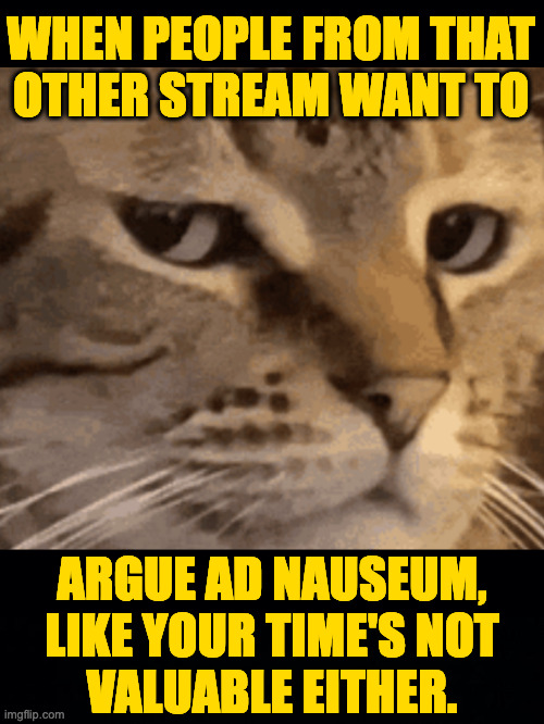 No offense. | WHEN PEOPLE FROM THAT
OTHER STREAM WANT TO; ARGUE AD NAUSEUM,
LIKE YOUR TIME'S NOT
VALUABLE EITHER. | image tagged in memes,arguing | made w/ Imgflip meme maker