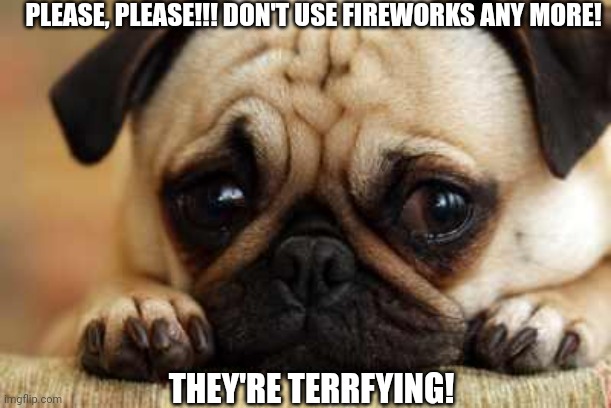 Sad Dog | PLEASE, PLEASE!!! DON'T USE FIREWORKS ANY MORE! THEY'RE TERRFYING! | image tagged in sad dog | made w/ Imgflip meme maker