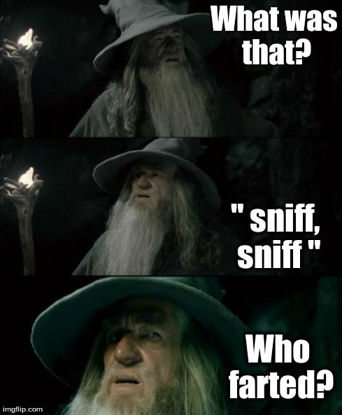 Confused Gandalf | What was that? " sniff, sniff " Who farted? | image tagged in memes,confused gandalf | made w/ Imgflip meme maker