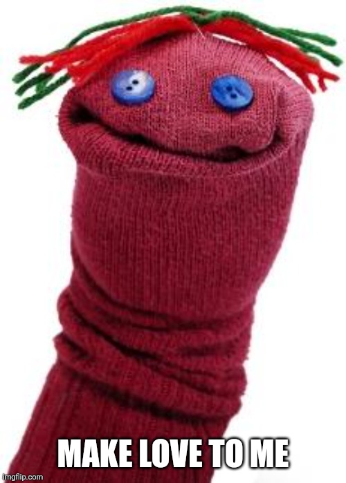 sock puppet | MAKE LOVE TO ME | image tagged in sock puppet | made w/ Imgflip meme maker