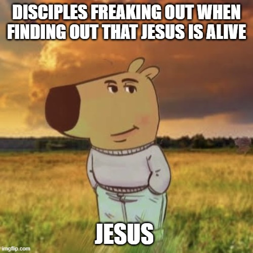 Chill guy | DISCIPLES FREAKING OUT WHEN FINDING OUT THAT JESUS IS ALIVE; JESUS | image tagged in chill guy | made w/ Imgflip meme maker