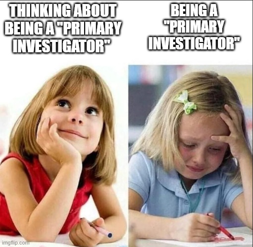 Being a Primary Investigator | BEING A "PRIMARY INVESTIGATOR"; THINKING ABOUT BEING A "PRIMARY INVESTIGATOR" | image tagged in happy sad girl,grad school,research,phd | made w/ Imgflip meme maker