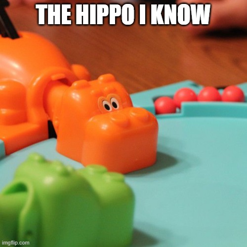 THE HIPPO I KNOW | image tagged in hungry hungry hippo | made w/ Imgflip meme maker