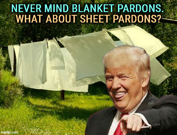 NEVER MIND BLANKET PARDONS. WHAT ABOUT SHEET PARDONS? | image tagged in trump,ritz carlton,moscow,russia,pardon | made w/ Imgflip meme maker