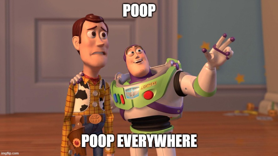 "What's it like having a bird as a pet?" | POOP; POOP EVERYWHERE | image tagged in woody and buzz lightyear everywhere widescreen | made w/ Imgflip meme maker