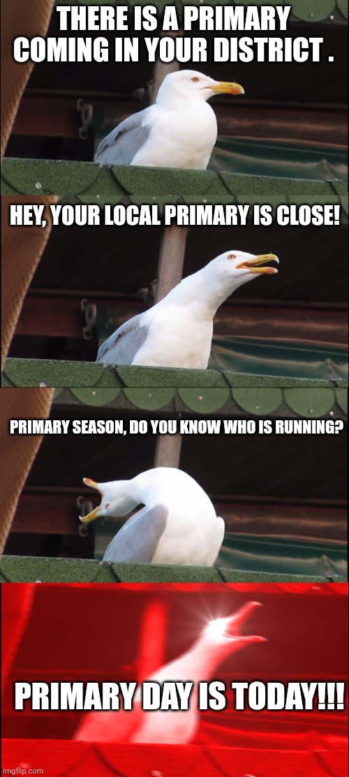 24/365/every two years for something important | THERE IS A PRIMARY COMING IN YOUR DISTRICT . HEY, YOUR LOCAL PRIMARY IS CLOSE! PRIMARY SEASON, DO YOU KNOW WHO IS RUNNING? PRIMARY DAY IS TODAY!!! | image tagged in memes,inhaling seagull,red wave,primary season | made w/ Imgflip meme maker