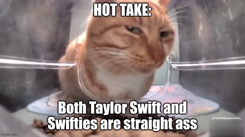 DONT PUT THIS ON TWITTER | HOT TAKE:; Both Taylor Swift and Swifties are straight ass | image tagged in mr fresh | made w/ Imgflip meme maker