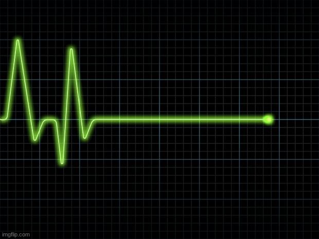 EKG Flatline | image tagged in ekg flatline | made w/ Imgflip meme maker