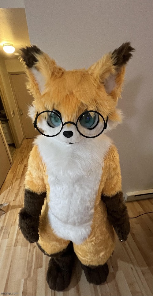 his eyes are down here.. (Pic credit: CatalopeSeats) | image tagged in kemono,fox,furry,cute,wholesome,cartoon | made w/ Imgflip meme maker