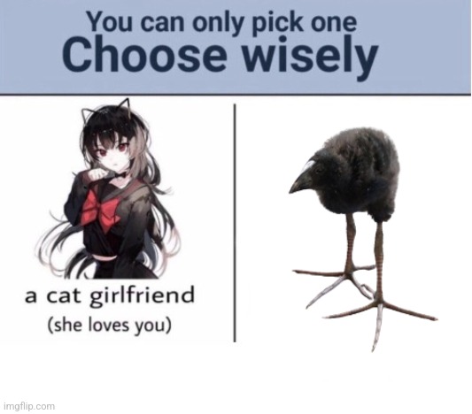 Choose wisely | image tagged in choose wisely | made w/ Imgflip meme maker