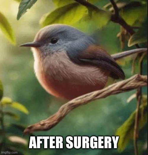 AFTER SURGERY | made w/ Imgflip meme maker