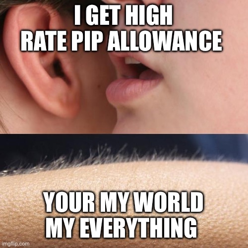 Whisper and Goosebumps | I GET HIGH RATE PIP ALLOWANCE; YOUR MY WORLD MY EVERYTHING | image tagged in whisper and goosebumps | made w/ Imgflip meme maker