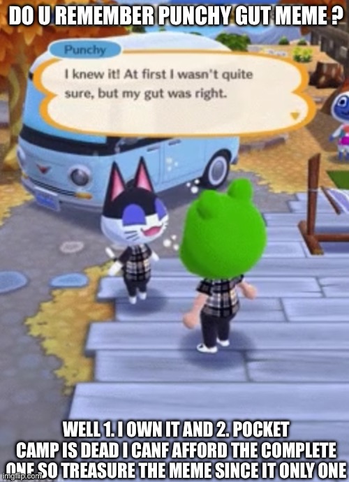 Treasure this meme | DO U REMEMBER PUNCHY GUT MEME ? WELL 1. I OWN IT AND 2. POCKET CAMP IS DEAD I CANF AFFORD THE COMPLETE ONE SO TREASURE THE MEME SINCE IT ONLY ONE | image tagged in animal crossing,pocketcamp | made w/ Imgflip meme maker