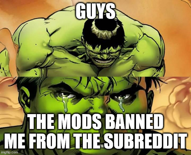 Crying Hulk | GUYS; THE MODS BANNED ME FROM THE SUBREDDIT | image tagged in crying hulk | made w/ Imgflip meme maker