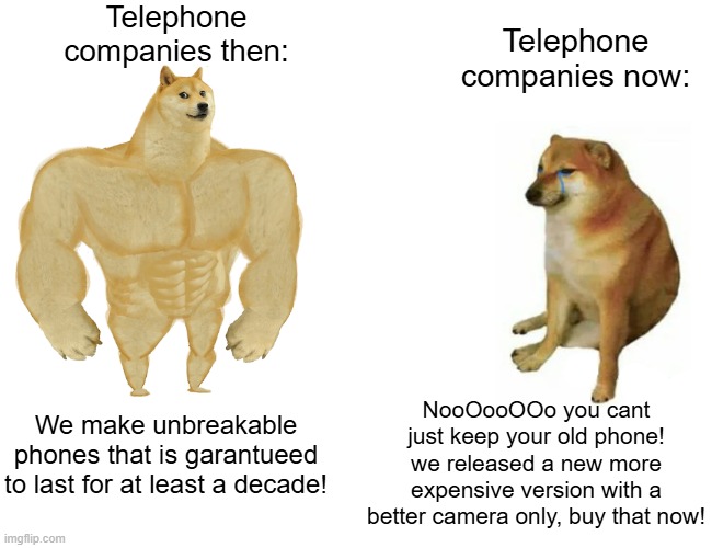 Telephone companies | Telephone companies then:; Telephone companies now:; NooOooOOo you cant just keep your old phone! we released a new more expensive version with a better camera only, buy that now! We make unbreakable phones that is garantueed to last for at least a decade! | image tagged in memes,buff doge vs cheems,phone,company,funny,dank memes | made w/ Imgflip meme maker