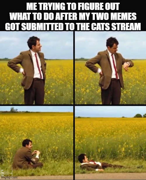 Waiting... | ME TRYING TO FIGURE OUT WHAT TO DO AFTER MY TWO MEMES GOT SUBMITTED TO THE CATS STREAM | image tagged in mr bean waiting | made w/ Imgflip meme maker