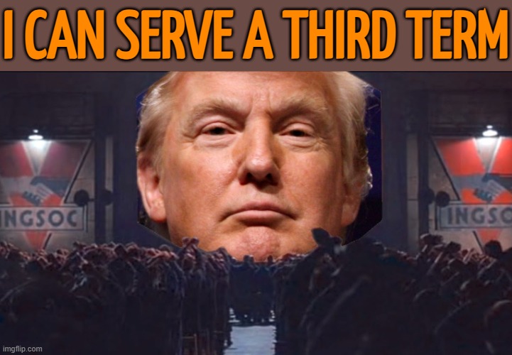 Trump Can Serve 3rd Term | I CAN SERVE A THIRD TERM | image tagged in trump big brother 1984,donald trump,donald trump approves,donald trump the clown,trump is a moron | made w/ Imgflip meme maker