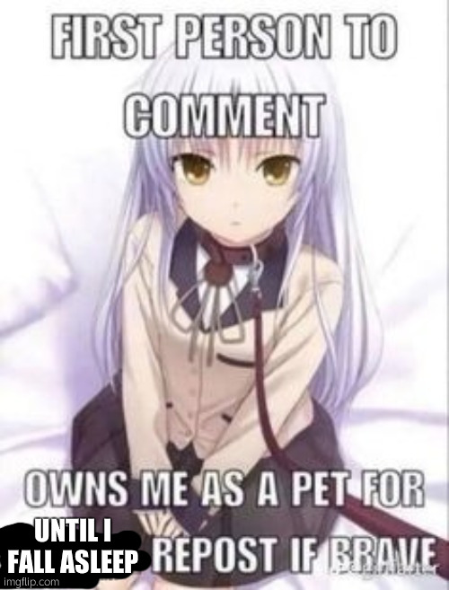 first person to comment owns as a pet for a week | UNTIL I FALL ASLEEP | image tagged in first person to comment owns as a pet for a week | made w/ Imgflip meme maker