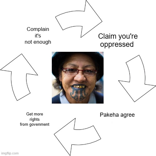 Vicious cycle | Complain it's not enough; Claim you're oppressed; Get more rights from govenment; Pakeha agree | image tagged in vicious cycle | made w/ Imgflip meme maker