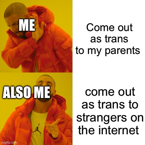 I make no sense | Come out as trans to my parents; ME; ALSO ME; come out as trans to strangers on the internet | image tagged in memes,drake hotline bling,transgender | made w/ Imgflip meme maker