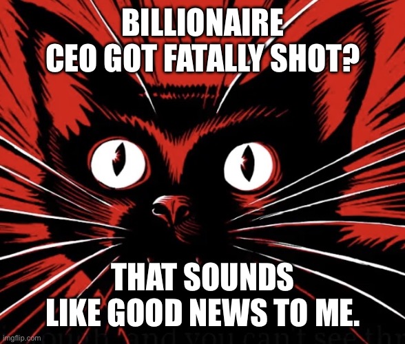 When will it happen again? I want to shoot another billionaire. | BILLIONAIRE CEO GOT FATALLY SHOT? THAT SOUNDS LIKE GOOD NEWS TO ME. | image tagged in sabo tabby cat | made w/ Imgflip meme maker