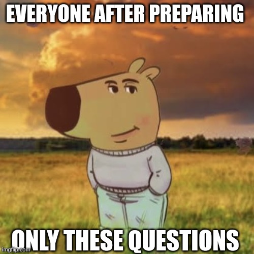 Important Questions | EVERYONE AFTER PREPARING; ONLY THESE QUESTIONS | image tagged in chill guy | made w/ Imgflip meme maker