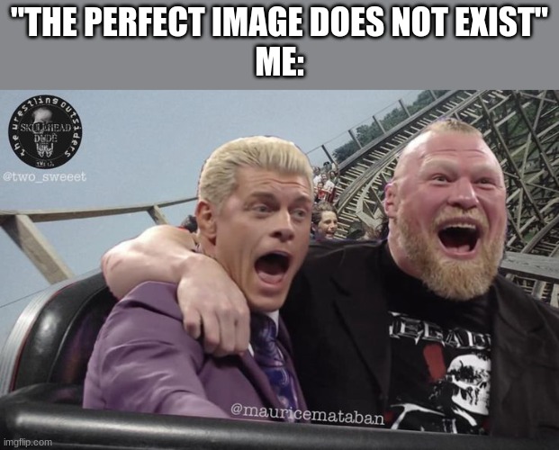 "THE PERFECT IMAGE DOES NOT EXIST"
ME: | image tagged in wwe,funny memes | made w/ Imgflip meme maker