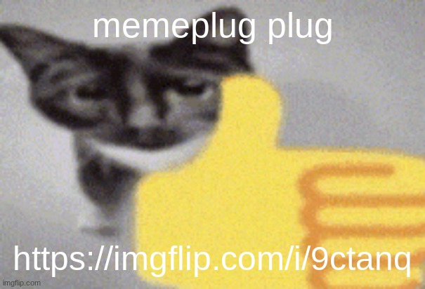 thumbs up cat | memeplug plug; https://imgflip.com/i/9ctanq | image tagged in thumbs up cat | made w/ Imgflip meme maker