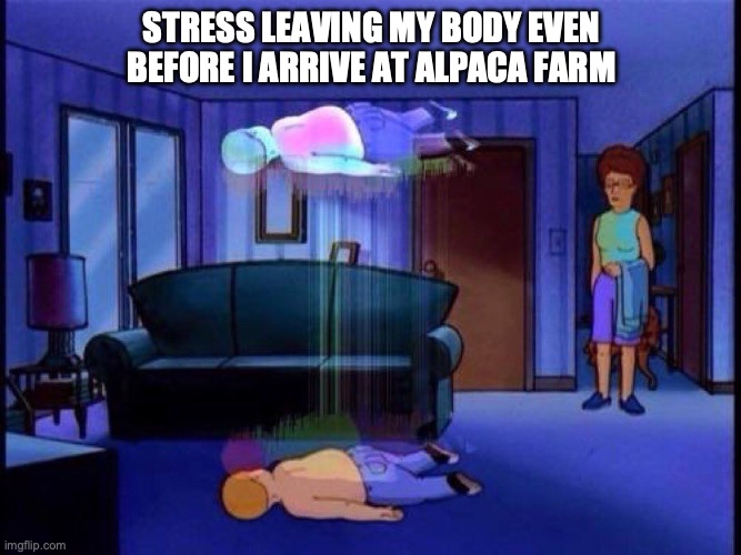 soul leaving my body | STRESS LEAVING MY BODY EVEN BEFORE I ARRIVE AT ALPACA FARM | image tagged in king of the hill bobby soul leaving body | made w/ Imgflip meme maker