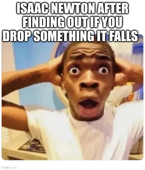 ::0 | ISAAC NEWTON AFTER FINDING OUT IF YOU DROP SOMETHING IT FALLS | image tagged in black guy suprised | made w/ Imgflip meme maker