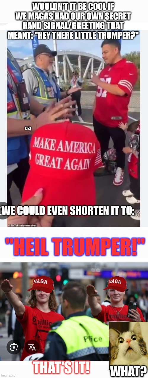Has A Nice Ring To It... | WOULDN'T IT BE COOL IF WE MAGAS HAD OUR OWN SECRET HAND SIGNAL/GREETING THAT MEANT: "HEY THERE LITTLE TRUMPER?"; DZJ; WE COULD EVEN SHORTEN IT TO:; "HEIL TRUMPER!"; THAT'S IT! WHAT? | image tagged in libtard,morons,triggered liberal,losers,evil overlord rules | made w/ Imgflip meme maker