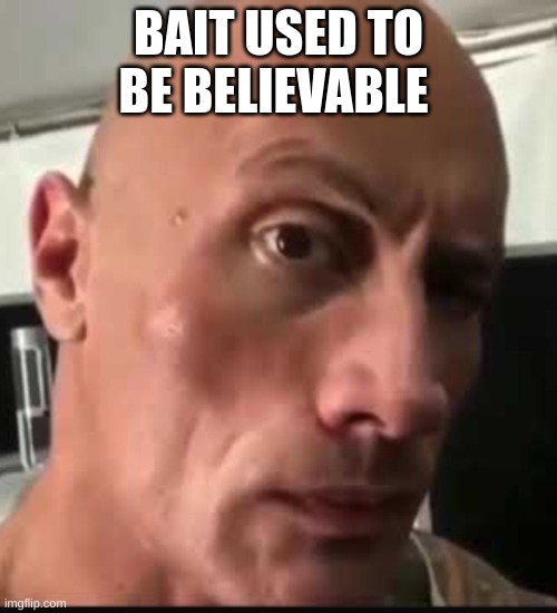 Dwayne Johnson eyebrow raise | BAIT USED TO BE BELIEVABLE | image tagged in dwayne johnson eyebrow raise | made w/ Imgflip meme maker