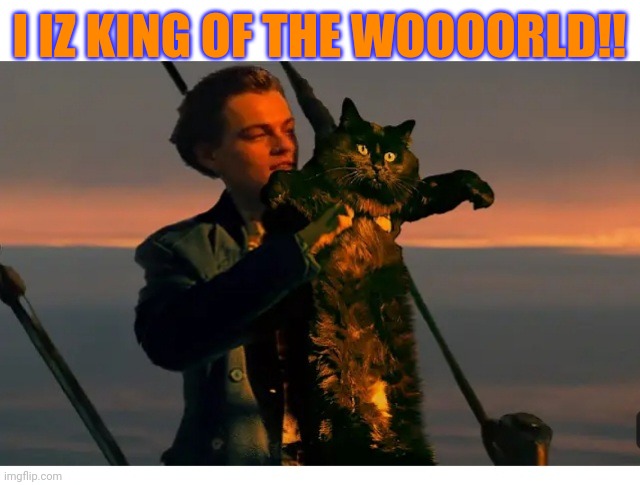 I IZ KING OF THE WOOOORLD!! | image tagged in i should buy a boat cat | made w/ Imgflip meme maker