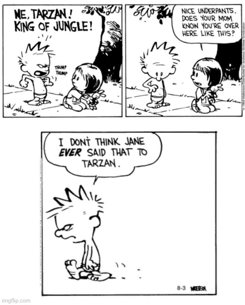 First Impression | image tagged in calvin and hobbes | made w/ Imgflip meme maker