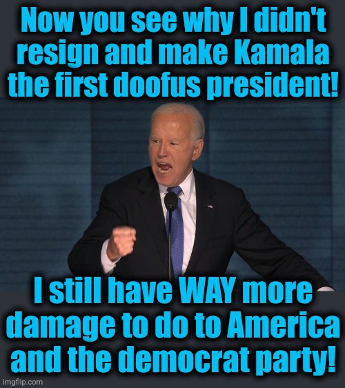 Joe's not done yet! | Now you see why I didn't resign and make Kamala the first doofus president! I still have WAY more damage to do to America and the democrat party! | image tagged in memes,joe biden,democrats,pardons,destruction of america,thats a lot of damage | made w/ Imgflip meme maker