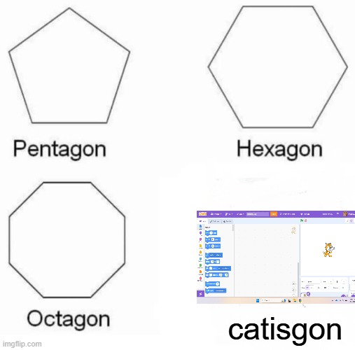 Pentagon Hexagon Octagon Meme | catisgon | image tagged in memes,pentagon hexagon octagon,scratch,cat | made w/ Imgflip meme maker