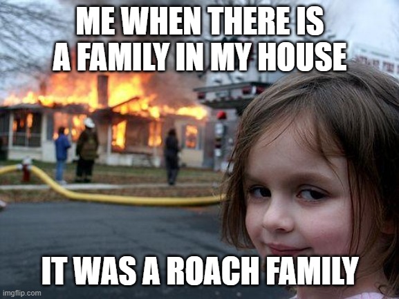 i hate roaches | ME WHEN THERE IS A FAMILY IN MY HOUSE; IT WAS A ROACH FAMILY | image tagged in memes,disaster girl | made w/ Imgflip meme maker