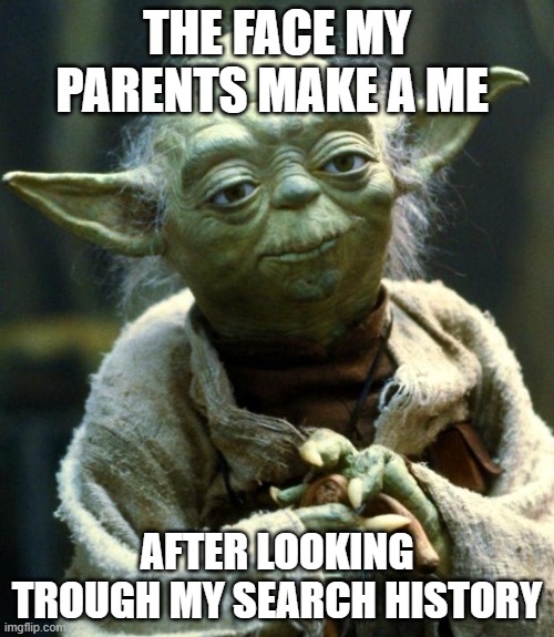 Star Wars Yoda | THE FACE MY PARENTS MAKE A ME; AFTER LOOKING TROUGH MY SEARCH HISTORY | image tagged in memes,star wars yoda | made w/ Imgflip meme maker