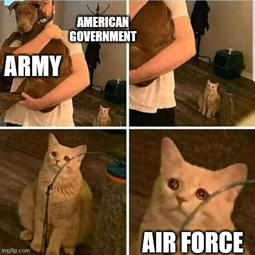 Sad Cat Holding Dog | AMERICAN GOVERNMENT; ARMY; AIR FORCE | image tagged in sad cat holding dog | made w/ Imgflip meme maker