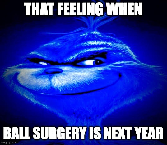 Dark Blue Grinch | THAT FEELING WHEN; BALL SURGERY IS NEXT YEAR | image tagged in dark blue grinch,memes,funny,blue grinch,knee surgery | made w/ Imgflip meme maker