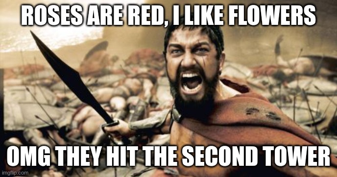 balls | ROSES ARE RED, I LIKE FLOWERS; OMG THEY HIT THE SECOND TOWER | image tagged in memes,sparta leonidas | made w/ Imgflip meme maker