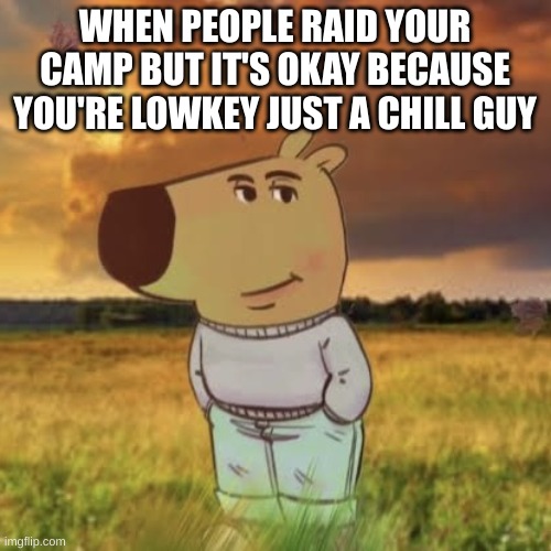 Chill guy | WHEN PEOPLE RAID YOUR CAMP BUT IT'S OKAY BECAUSE YOU'RE LOWKEY JUST A CHILL GUY | image tagged in chill guy | made w/ Imgflip meme maker