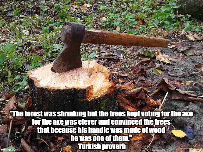 The Reason For Trump's Popularity | "The forest was shrinking but the trees kept voting for the axe 
for the axe was clever and convinced the trees 
that because his handle was made of wood 
he was one of them." 
Turkish proverb | image tagged in trump,trump cult,maga world | made w/ Imgflip meme maker