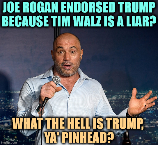 Joe Rogan, displaying the depth of his mentality | JOE ROGAN ENDORSED TRUMP BECAUSE TIM WALZ IS A LIAR? WHAT THE HELL IS TRUMP, 
YA' PINHEAD? | image tagged in joe rogan displaying the depth of his mentality,joe rogan,idiot,pinhead,fool,ignorance | made w/ Imgflip meme maker