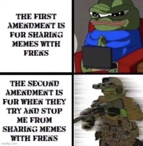 In a nutshell.... | image tagged in first amendment,freedom of speech,second amendment,right to bear arms,second backs up the first,freedom | made w/ Imgflip meme maker