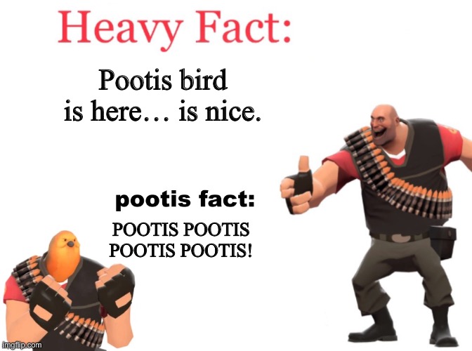 Heavy fact | Pootis bird is here… is nice. POOTIS POOTIS POOTIS POOTIS! | image tagged in heavy fact | made w/ Imgflip meme maker