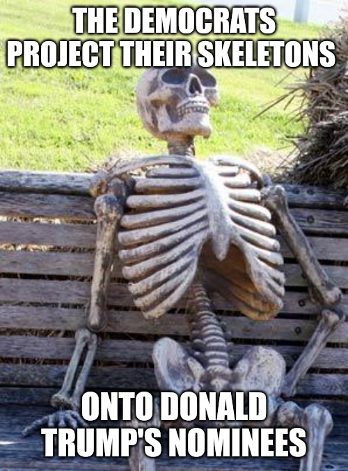 I'm old enough to remember when Joe Biden appointed queers to run out health department and defense. | THE DEMOCRATS PROJECT THEIR SKELETONS; ONTO DONALD TRUMP'S NOMINEES | image tagged in memes,waiting skeleton | made w/ Imgflip meme maker